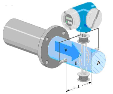 1637196913116698.jpg d5.jpg