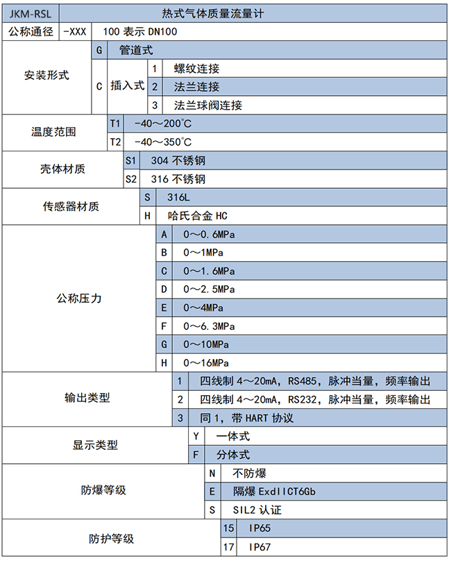 DN100熱式氣體質量流量計選項表